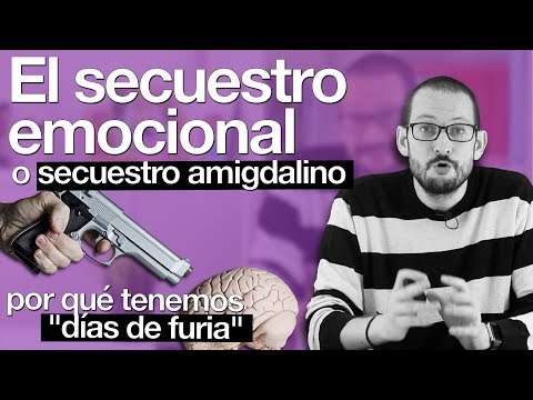 Secuestro emocional: Entiende el secuestro de la amígdala 1 0 13