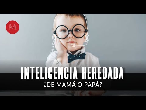 La inteligencia se hereda: ¿de la madre o del padre? 1 0 2