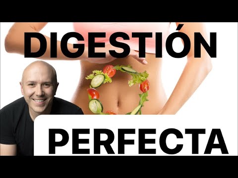 Anxiety and Colitis: How Emotional Stress Affects the Digestive System 1 0 41
