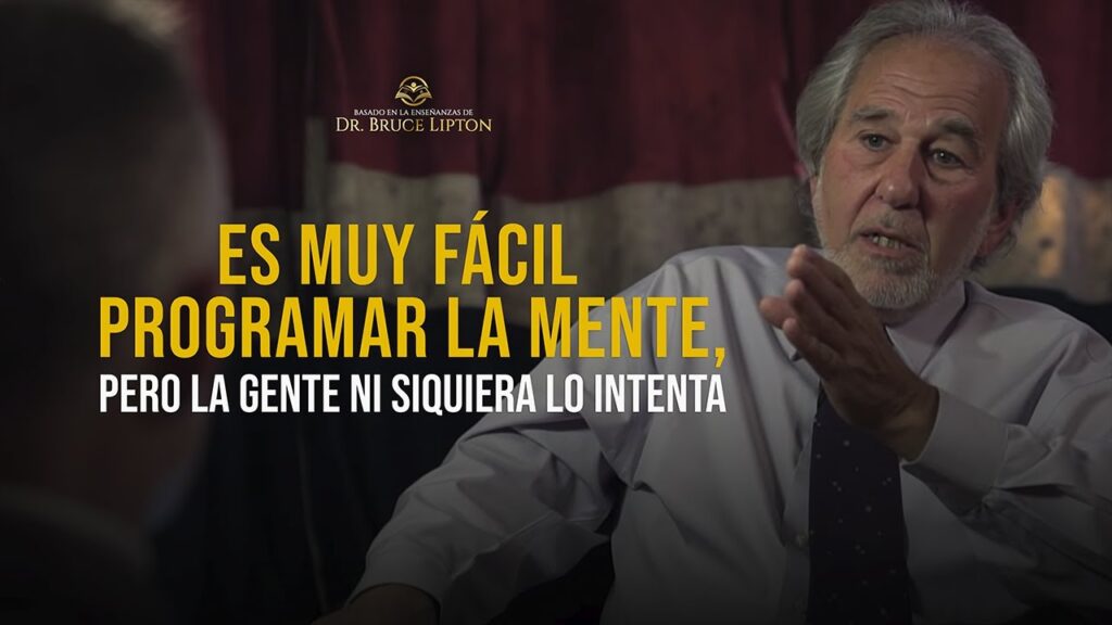 10 Reflexiones Positivas Para Mejorar Tu Bienestar Emocional a Diario 1 10 reflexiones positivas para me