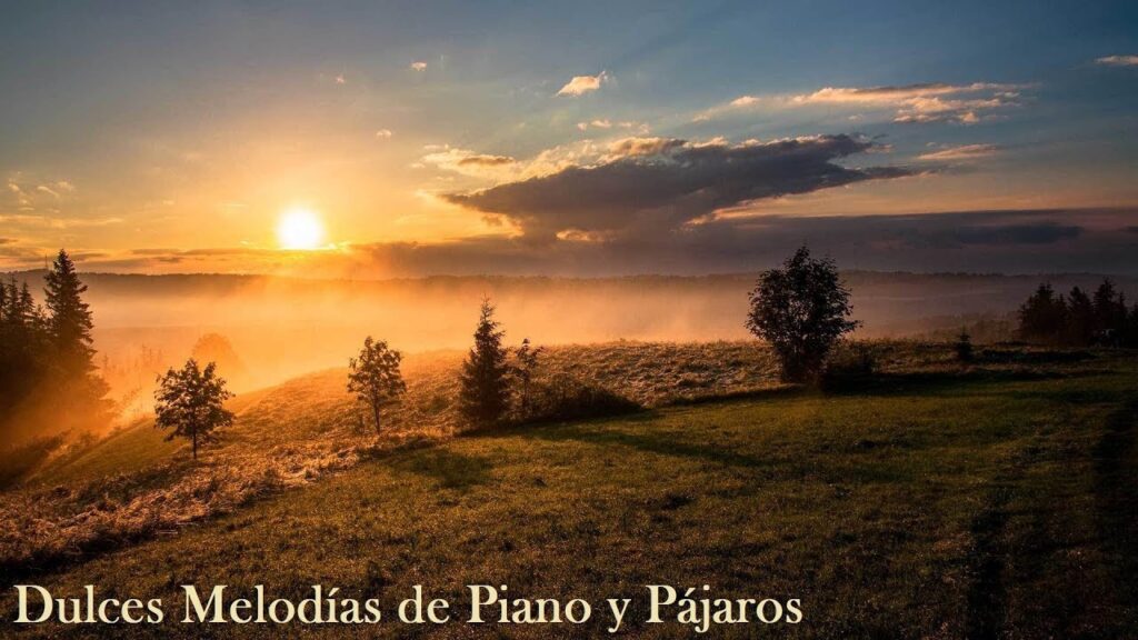 100 Frases Positivas que Transformarán tu Bienestar Emocional 1 100 frases positivas que transfo