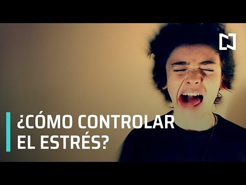 5 estrategias efectivas para el manejo de la ansiedad en el día a día 1 5 estrategias efectivas para el 1