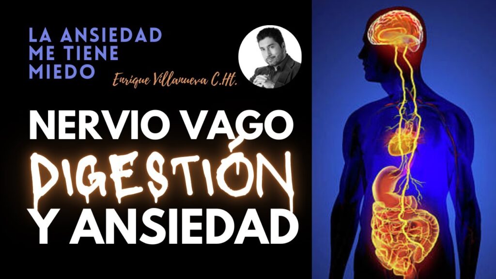 Ansiedad crónica: claves psicológicas para su manejo prolongado 1 ansiedad cronica claves psicolog