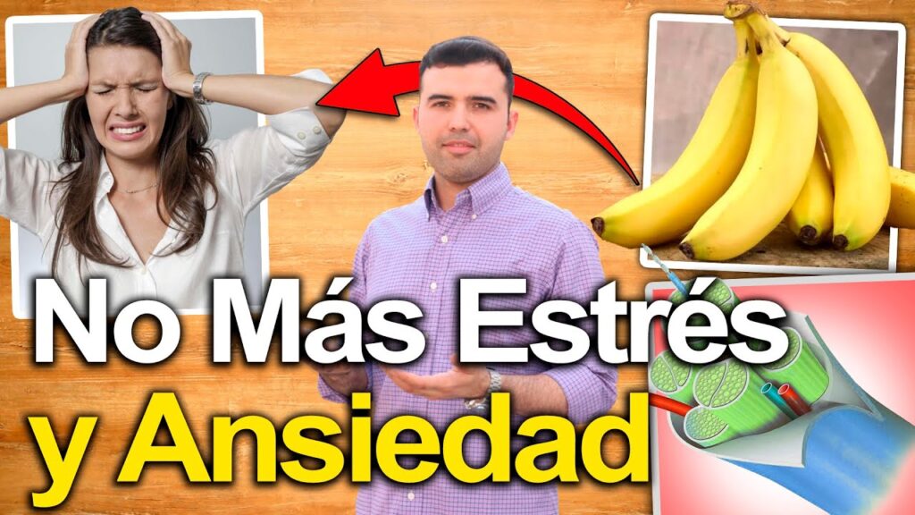 Ansiedad y anemia: cómo la salud mental afecta la salud física. 1 ansiedad y anemia como la salud