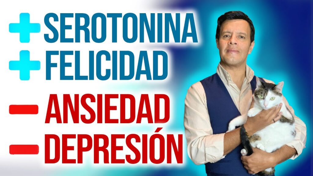 Ansiedad y apetito: cómo la primera puede afectar el segundo y cómo la psicología puede ayudarte a controlarlo 1 ansiedad y apetito como la prime