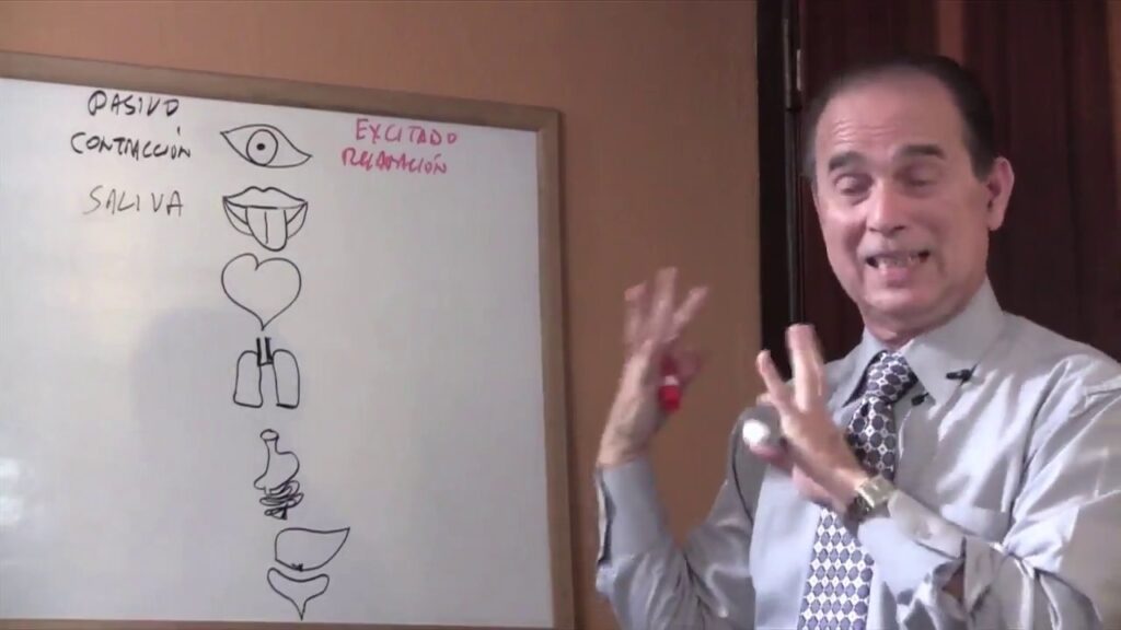 Ansiedad y mareo al despertar: Claves para manejar estos síntomas desde la perspectiva psicológica 1 ansiedad y mareo al despertar cl