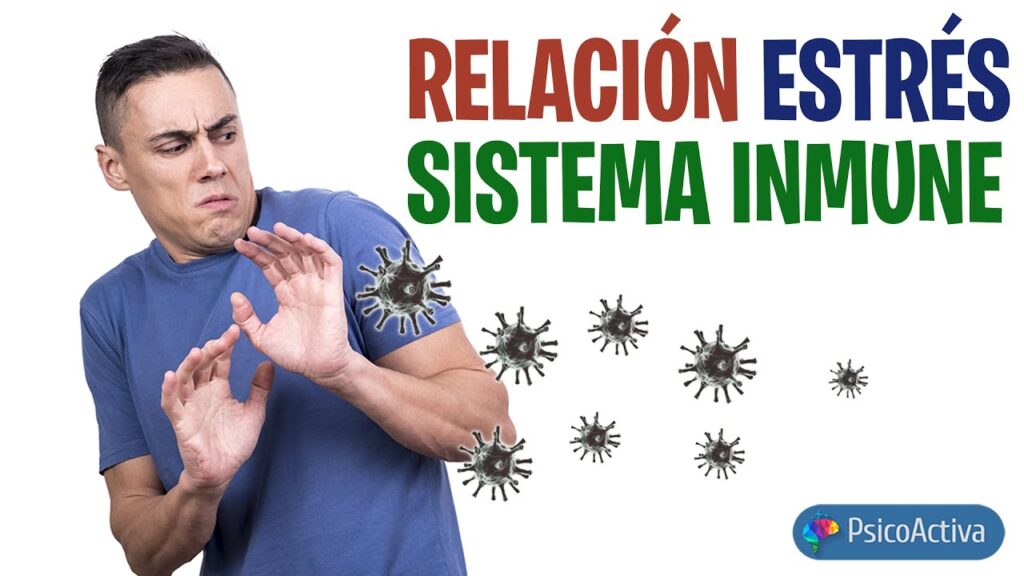 Ansiedad y respuesta inmunológica: cómo el estrés afecta nuestro sistema de defensas 1 ansiedad y respuesta inmunologic
