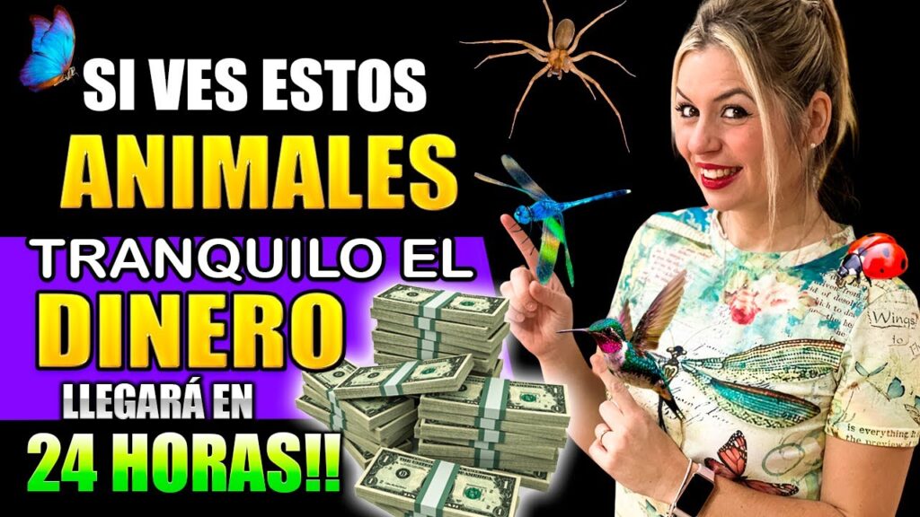 Claves para entender el significado psicológico de soñar con caracolas 1 claves para entender el signific