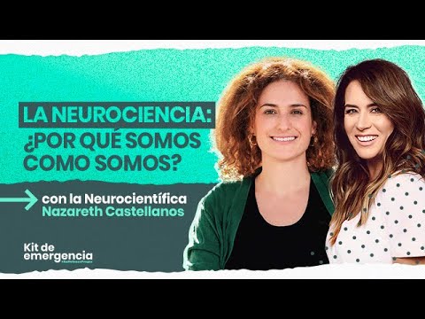 Cómo cultivar hábitos positivos para fortalecer el sistema nervioso y promover la salud mental 1 como cultivar habitos positivos