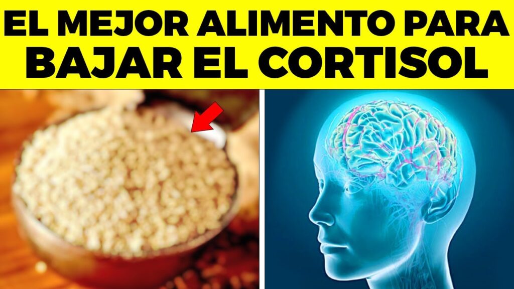 Cómo el cortisol influye en la ansiedad: una mirada desde la psicología 1 como el cortisol influye en la a
