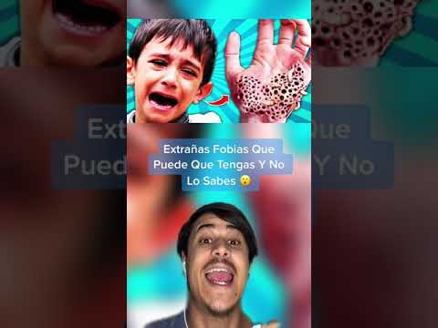Cómo superar el miedo irracional a los bosques desde la perspectiva de la psicología. 1 como superar el miedo irracional 8
