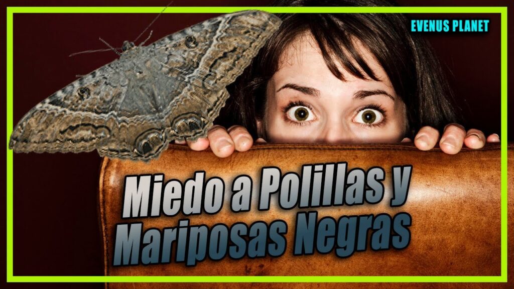 Cómo superar la lepidopterofobia: consejos para vencer el miedo a las polillas 1 como superar la lepidopterofobia