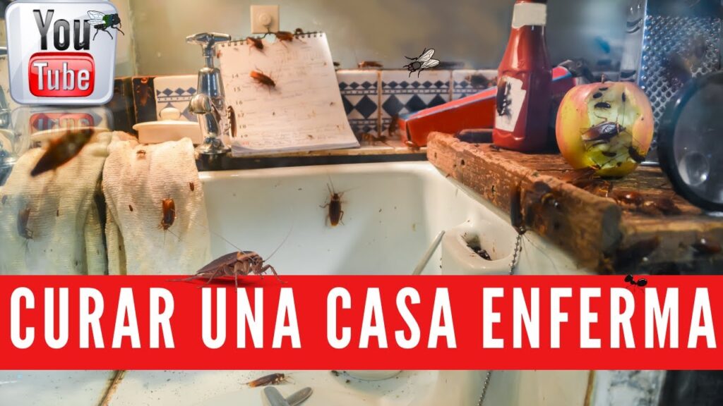 Comprendiendo el impacto psicológico de los sueños de intrusión en el hogar 1 comprendiendo el impacto psicolo