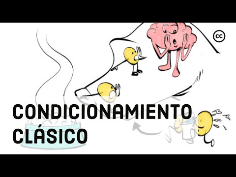 Comprendiendo la fobia en un niño de 5 años: Perspectiva psicológica y estudio detallado 1 comprendiendo la fobia en un nin