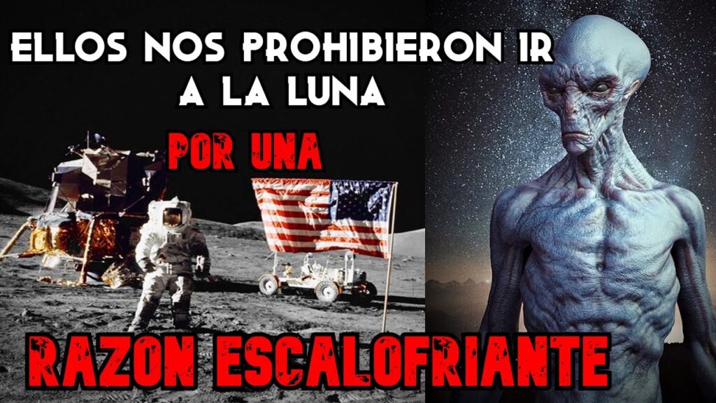 Consejos de un Psicólogo: Cómo superar el miedo a las cucarachas voladoras 1 consejos de un psicologo como su
