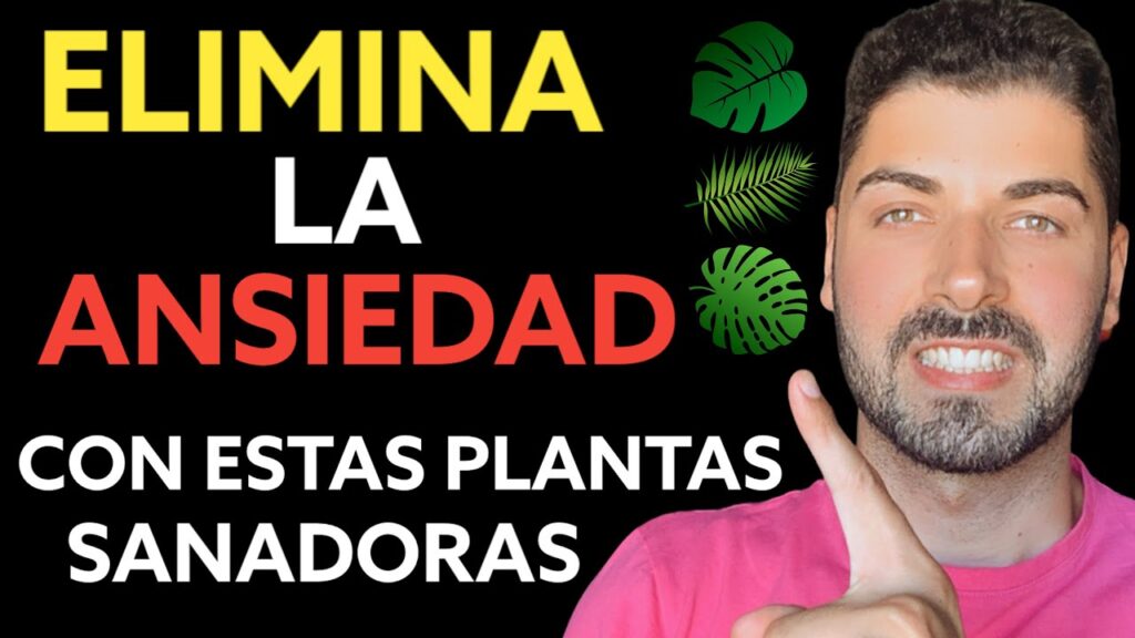 Controlando la Ansiedad Alimentaria: El Poder de las Infusiones Naturales 1 controlando la ansiedad alimenta 1