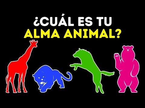 Descifrando el significado de los sueños con lobos agresivos: Un análisis psicológico 1 descifrando el significado de lo 1