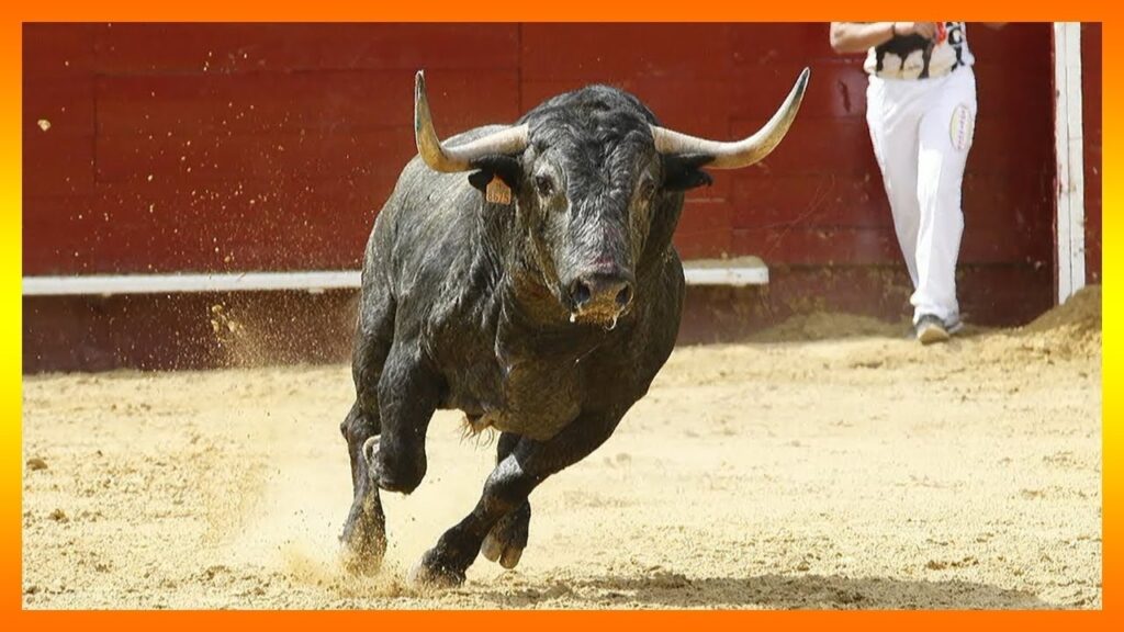 Descifrando el simbolismo de los toros en tus sueños: Una guía para interpretar tus sueños. 1 descifrando el simbolismo de los
