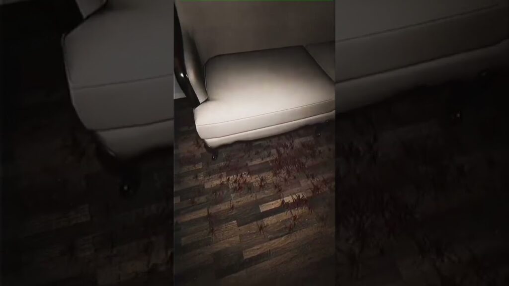 Descubriendo la zoofobia: cuando el miedo a los animales se convierte en una barrera insuperable 1 descubriendo la zoofobia cuando