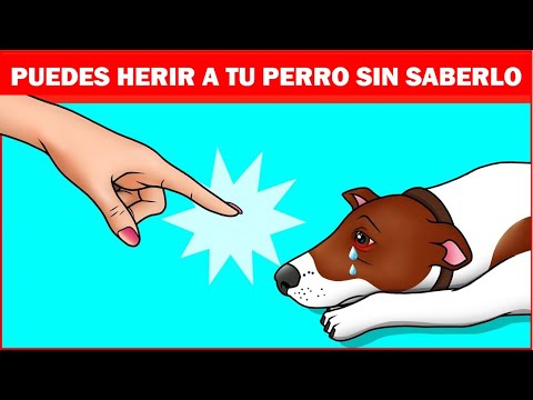 Descubriendo las 10 fobias más comunes y su impacto en la salud mental 1 descubriendo las 10 fobias mas c