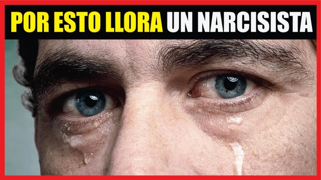 Detrás del espejo: Descifrando el amor del narcisista 1 detras del espejo descifrando el