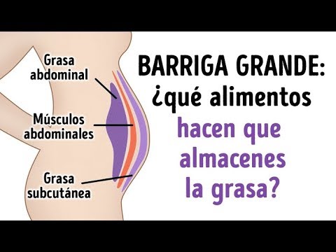 Domina tus antojos: estrategias psicológicas para controlar la ansiedad por la comida 1 domina tus antojos estrategias p