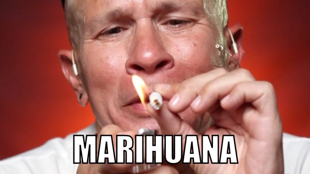El efecto de la marihuana en los trastornos de ansiedad: una aproximación desde la psicología 1 el efecto de la marihuana en los