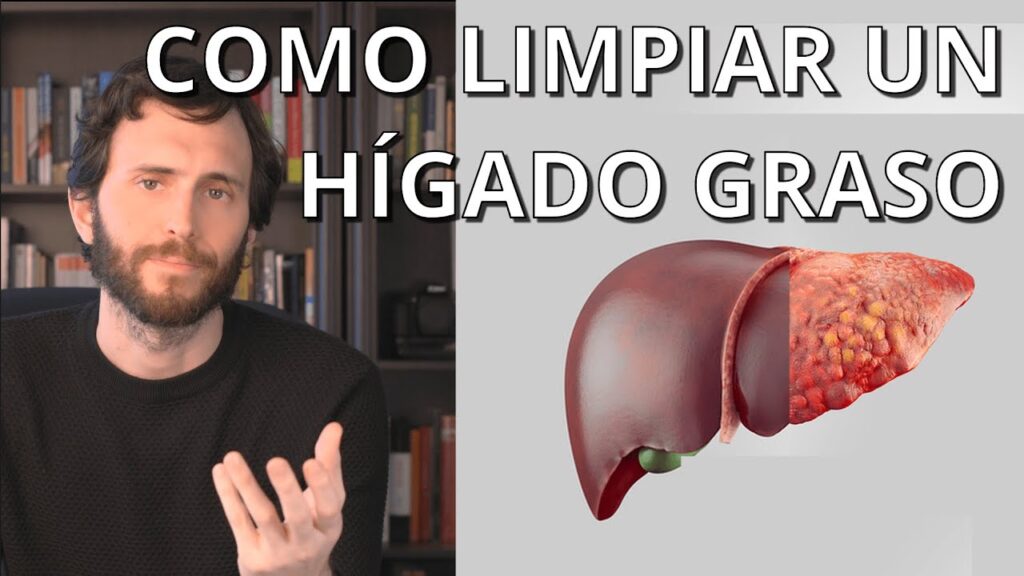 El estrés y el hígado: una relación tóxica para la salud 1 el estres y el higado una relaci