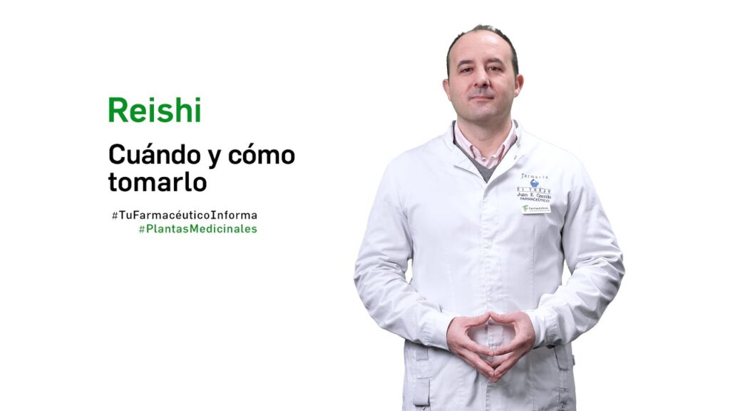 El hongo reishi: ¿Un aliado natural en el tratamiento de la ansiedad? 1 el hongo reishi un aliado natura 1