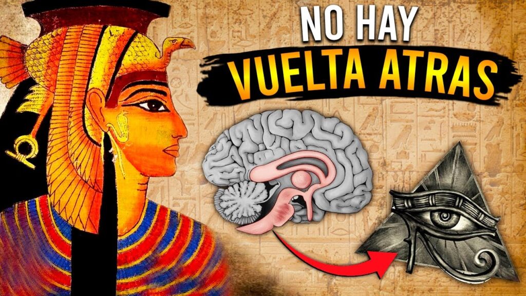 El impacto de cultivar emociones positivas en nuestro bienestar diario 1 el impacto de cultivar emociones