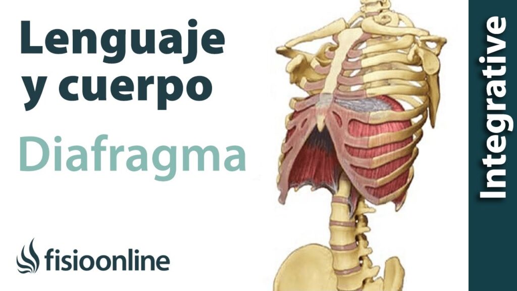 El impacto de la ansiedad en el dolor del diafragma: causas y soluciones 1 el impacto de la ansiedad en el 20