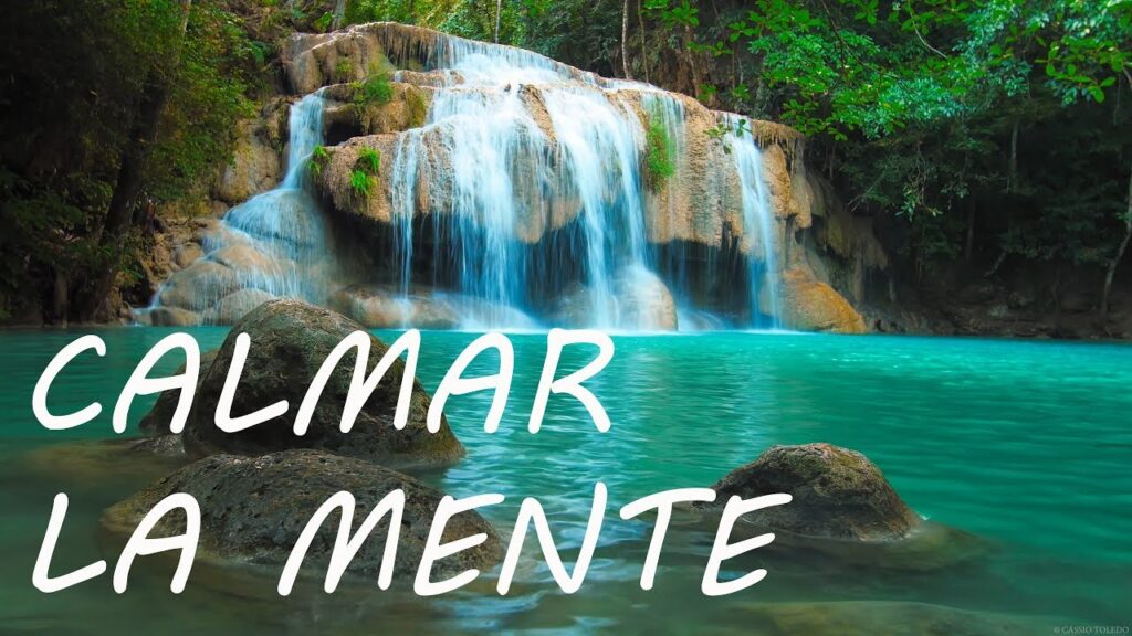 El impacto del estrés en el cuerpo: cómo puede causar dolor en el cuello y la garganta desde una perspectiva psicológica 1 el impacto del estres en el cuer 5