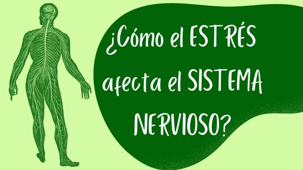 El impacto del estrés en el sistema nervioso: causas y consecuencias de la distonía neurovegetativa 1 el impacto del estres en el sist 1