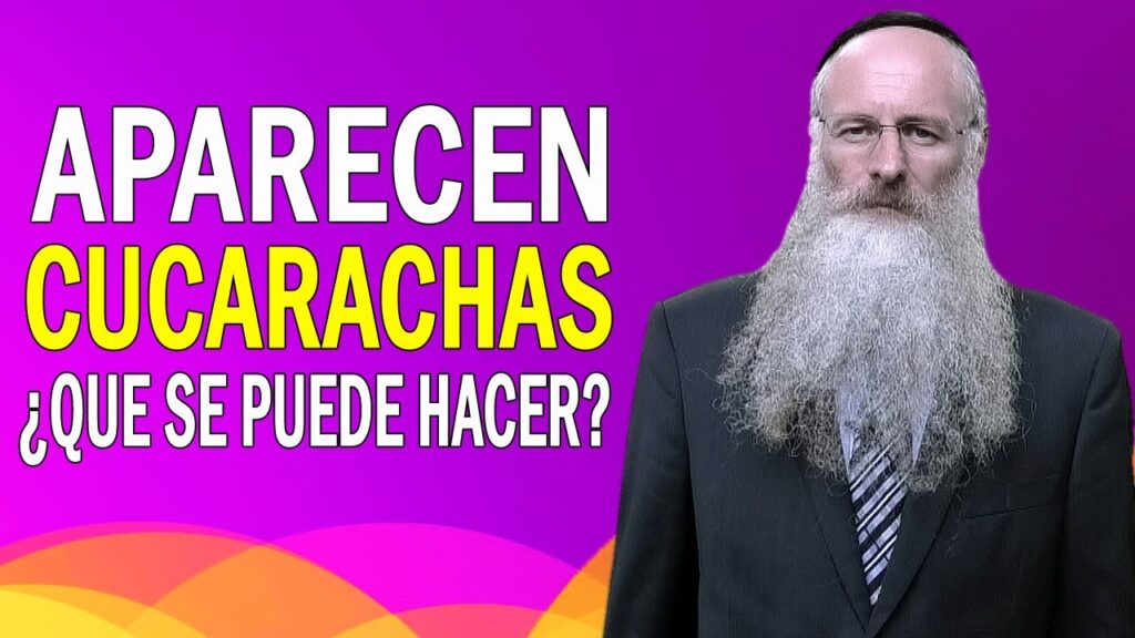 El miedo a las cucarachas: ¿Qué hay detrás desde una perspectiva psicológica? 1 el miedo a las cucarachas que ha