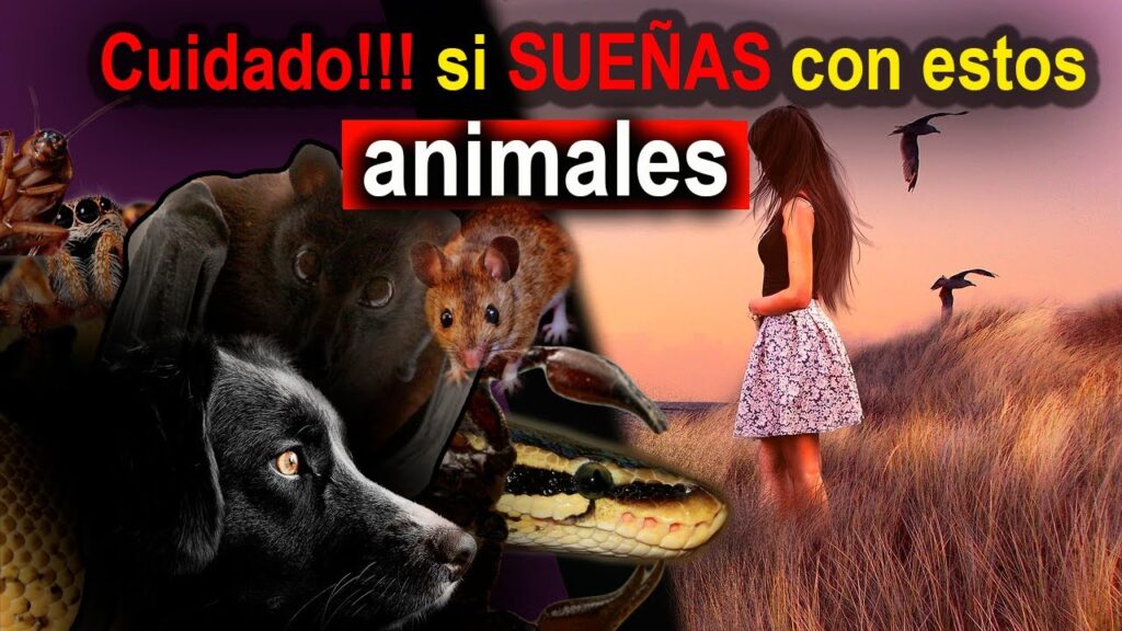 El misterioso simbolismo psicológico detrás de soñar con un caballo de color marrón 1 el misterioso simbolismo psicolo