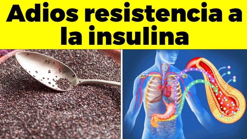 El poder de los garbanzos en la batalla contra la depresión: ¿cómo influye la alimentación en nuestro estado de ánimo? 1 el poder de los garbanzos en la