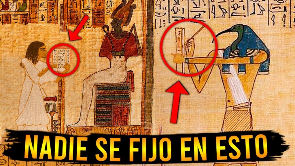El poder del plexo solar: cómo influye en nuestra psicología humana 1 el poder del plexo solar como in