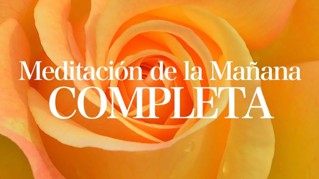 El poder transformador de las frases cortas: cómo el humor y la positividad pueden elevar tu bienestar emocional 1 el poder transformador de las fr 6