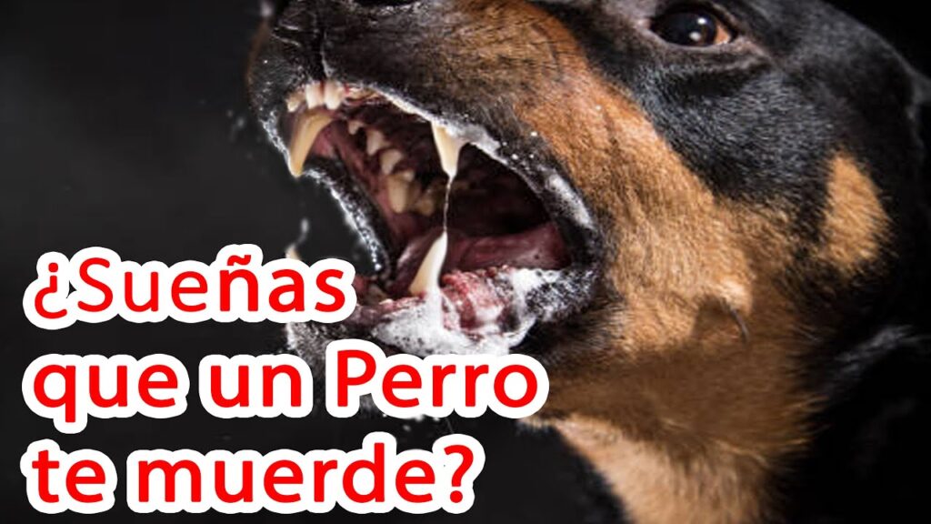 El Profundo Significado Psicológico detrás de Soñar con Ser Mordido por un Perro 1 el profundo significado psicolog 2