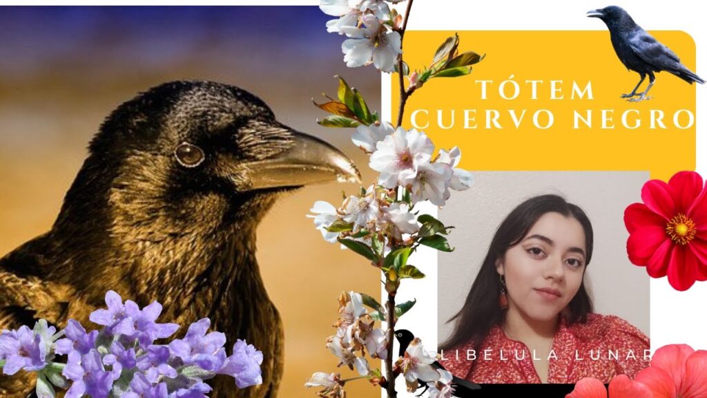 El simbolismo psicológico de los pájaros negros con pico naranja: una mirada profunda a su significado 1 el simbolismo psicologico de los 6