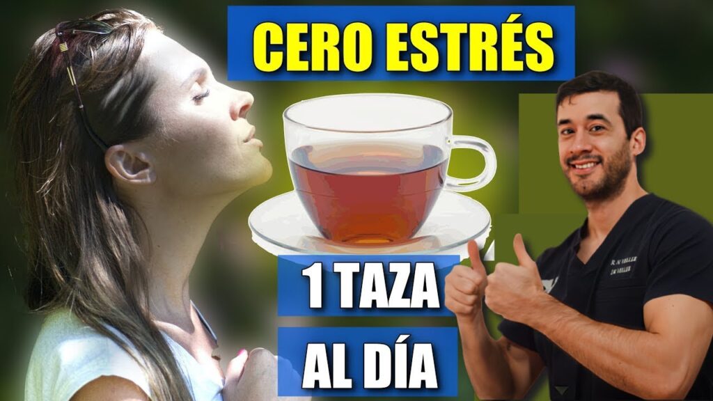 El uso de Ashwagandha como solución natural para la ansiedad: Perspectivas psicológicas, opiniones y beneficios 1 el uso de ashwagandha como soluc