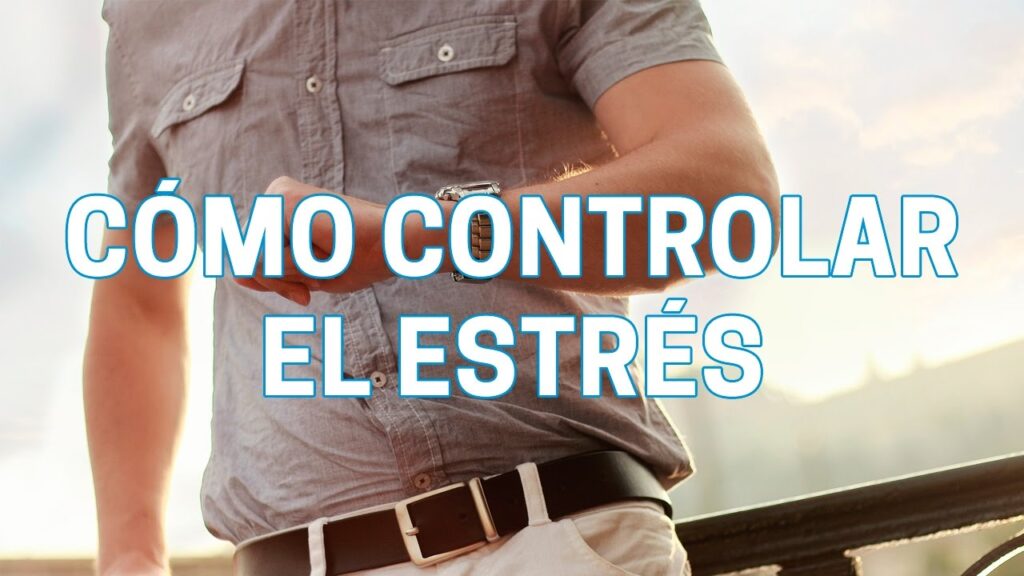 El uso de Biomag en el tratamiento de estrés, ansiedad y fatiga: Una perspectiva psicológica 1 el uso de biomag en el tratamien