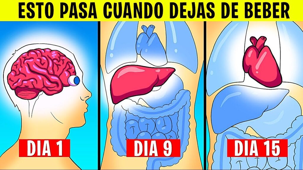 El vínculo entre el consumo de alcohol y la ansiedad: cómo la resaca puede impactar tu bienestar emocional 1 el vinculo entre el consumo de a 1