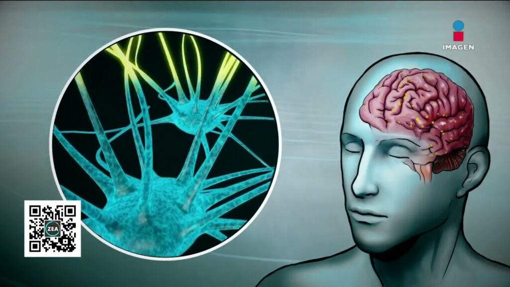 Entendiendo la Definición de Depresión según la OMS: Una Guía para Comprender esta Enfermedad Mental 1 entendiendo la definicion de dep