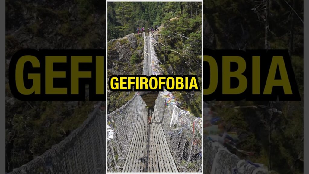 Explora tus temores más profundos: Realiza este test de fobias para descubrirlos 1 explora tus temores mas profundo