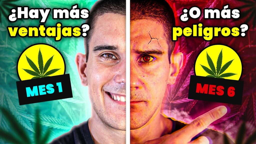 Fobias: cómo limitan tu vida y afectan tu salud mental 1 fobias como limitan tu vida y af
