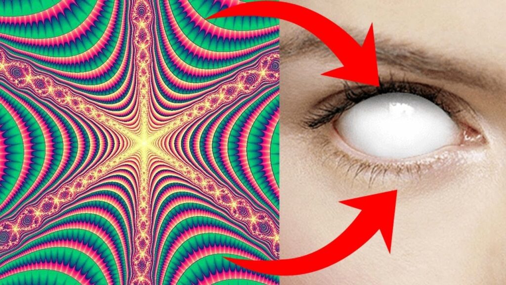 Fobias insólitas: descubre qué hay detrás de estas extrañas aversiones 1 fobias insolitas descubre que ha