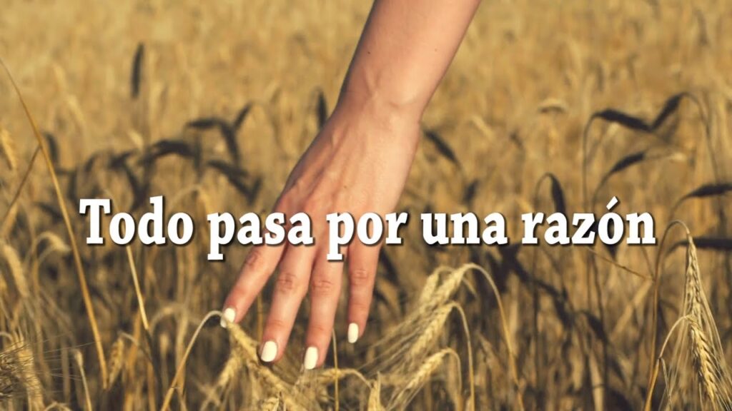 Frases de vida para la introspección: reflexiones breves desde la psicología 1 frases de vida para la introspec