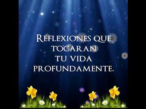 Frases inspiradoras para cultivar una actitud positiva en tu día a día 1 frases inspiradoras para cultiva