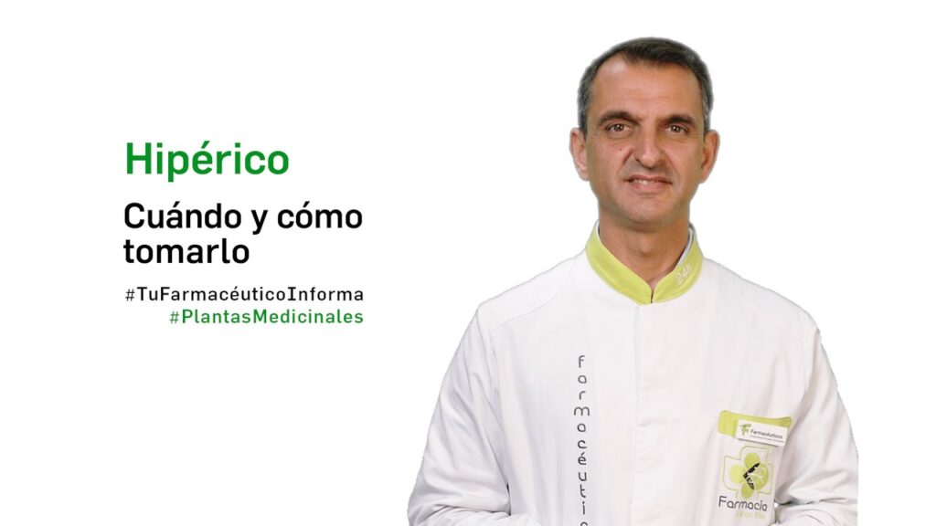 Hierba de San Juan: una aliada natural para el tratamiento de la depresión 1 hierba de san juan una aliada na